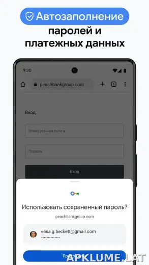 Google Chrome скриншот 6